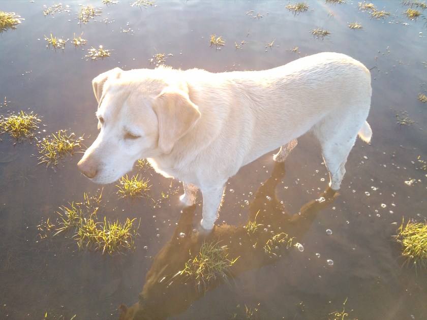 2012-12-27_16-03-07_754