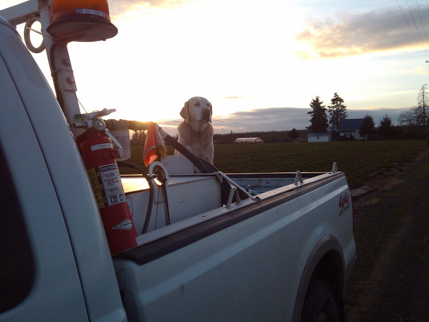 2012-12-27_16-14-53_9