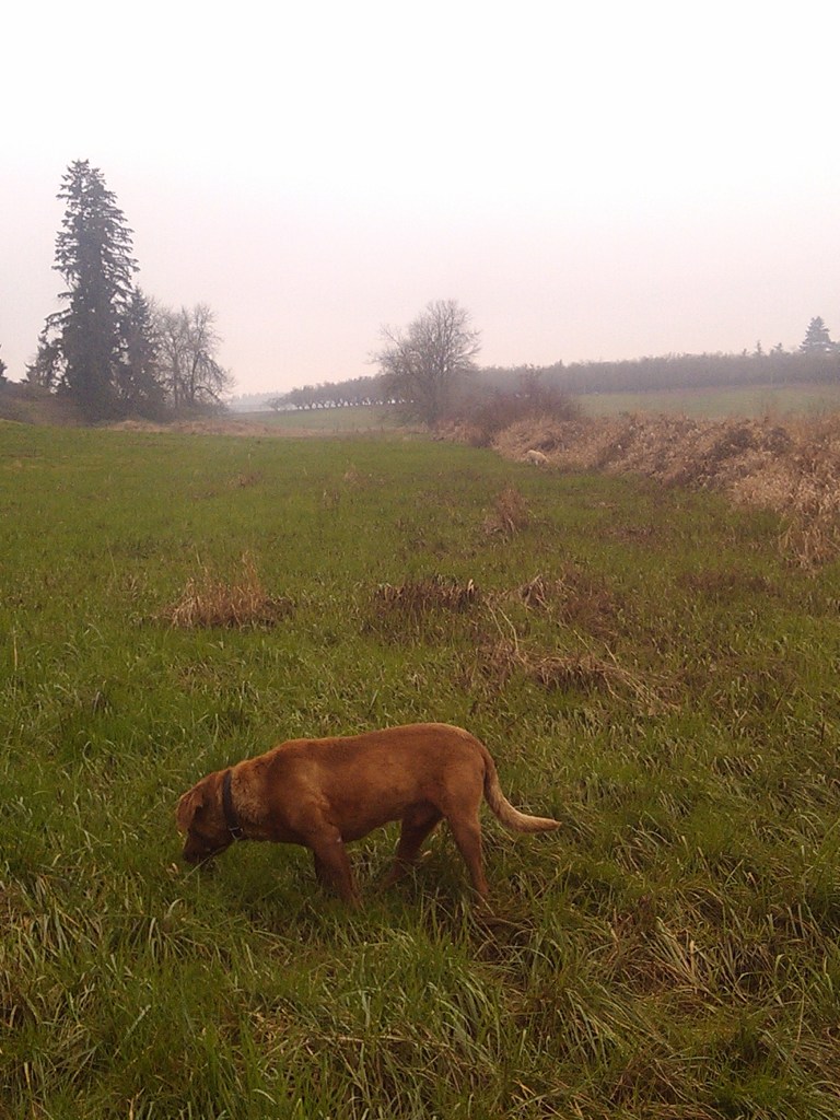 2013-01-06_15-30-28_864