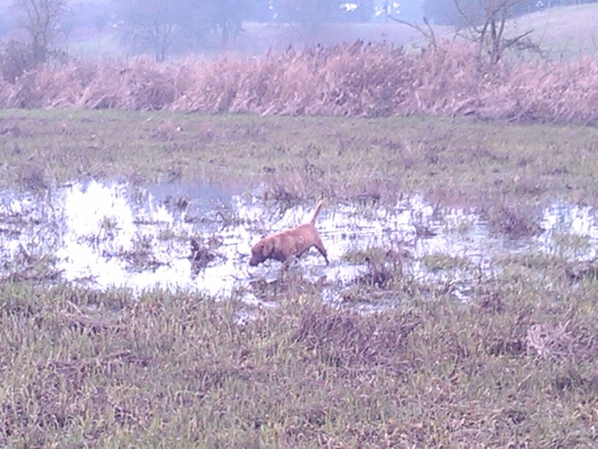 2013-01-06_15-37-42_974