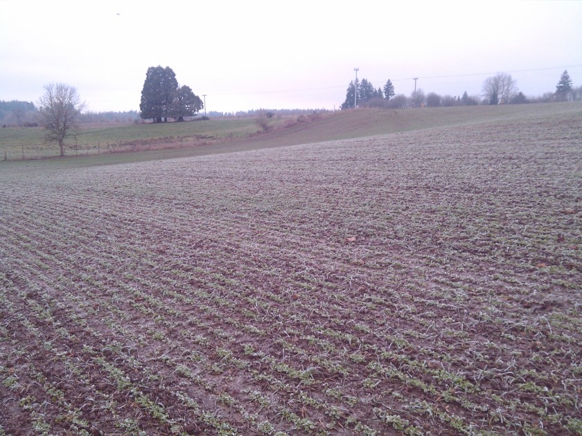 2013-01-13_16-46-23_549