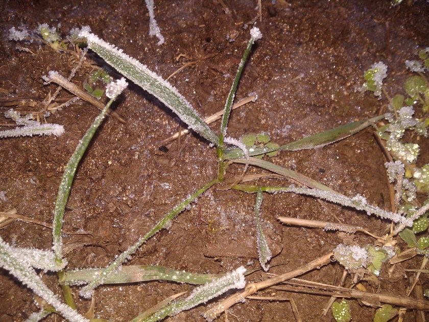 2013-01-13_16-46-34_743