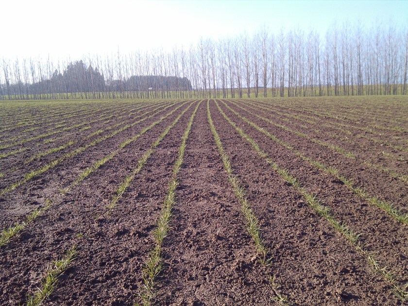 2013-01-17_13-24-35_987