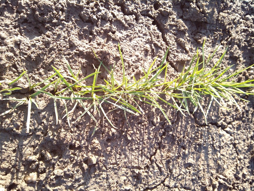 2013-01-17_13-24-41_570