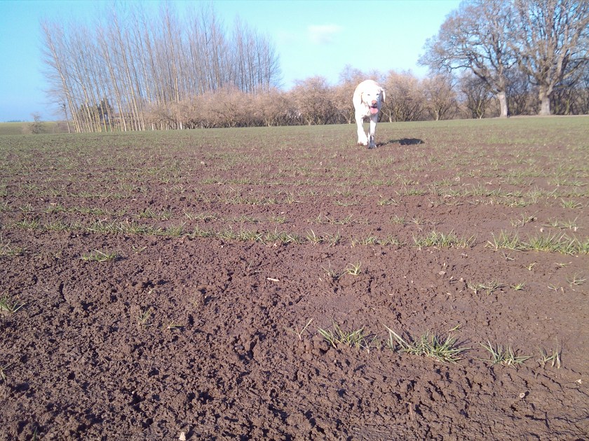 2013-01-17_13-24-52_970