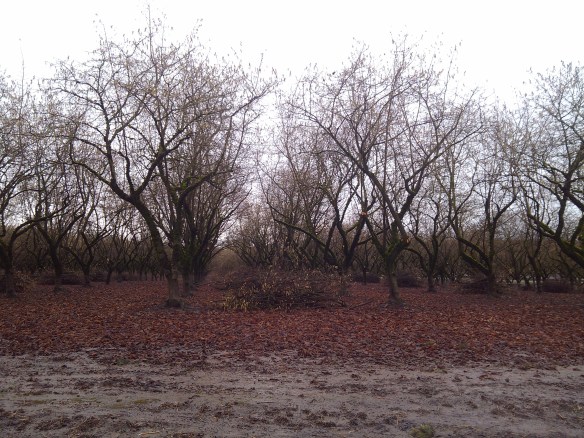 2013-01-26_09-04-38_51