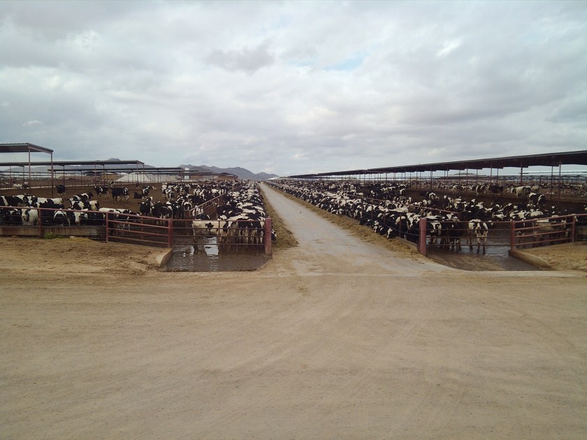 2013-02-11_11-33-55_212