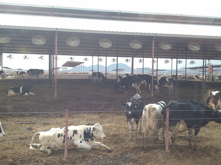 2013-02-11_12-02-19_445