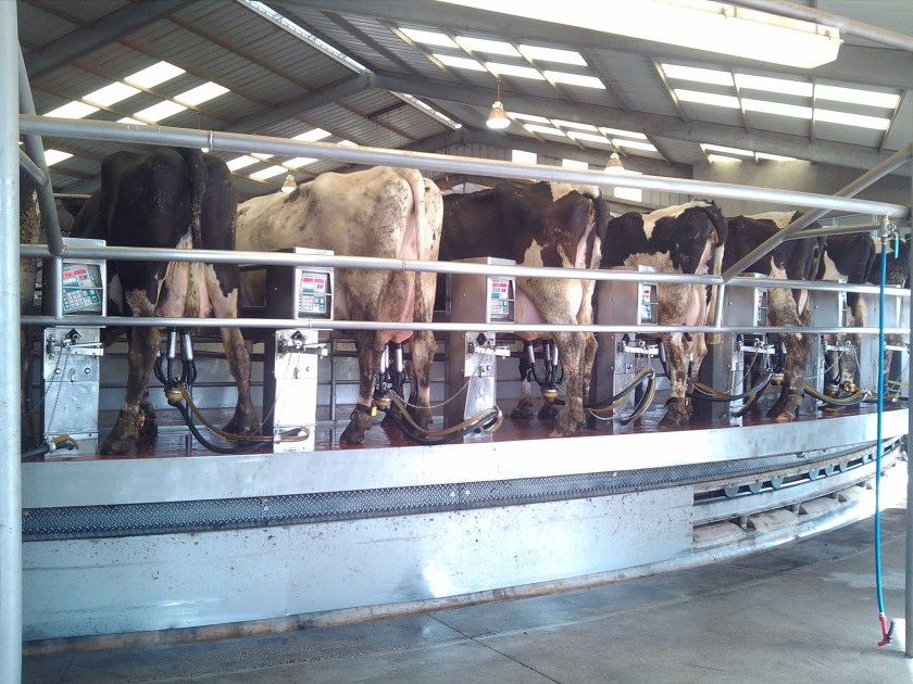 2013-02-11_12-21-57_500