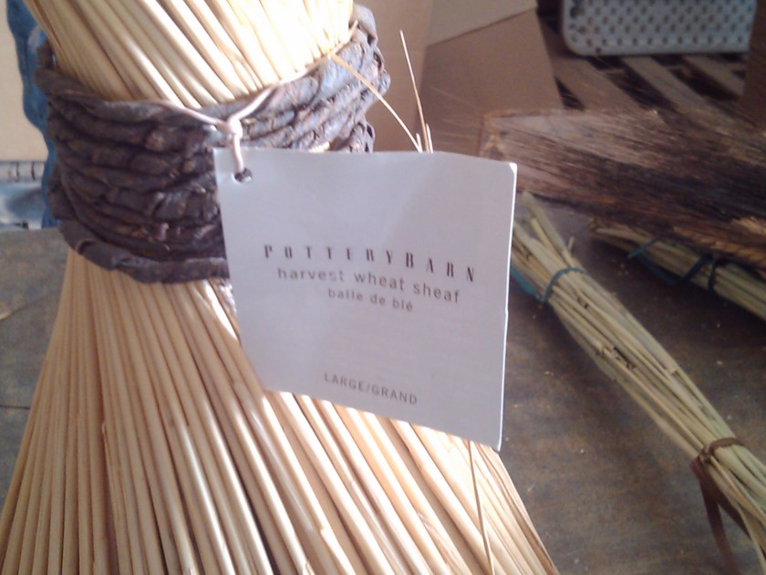 2013-02-11_14-04-19_376