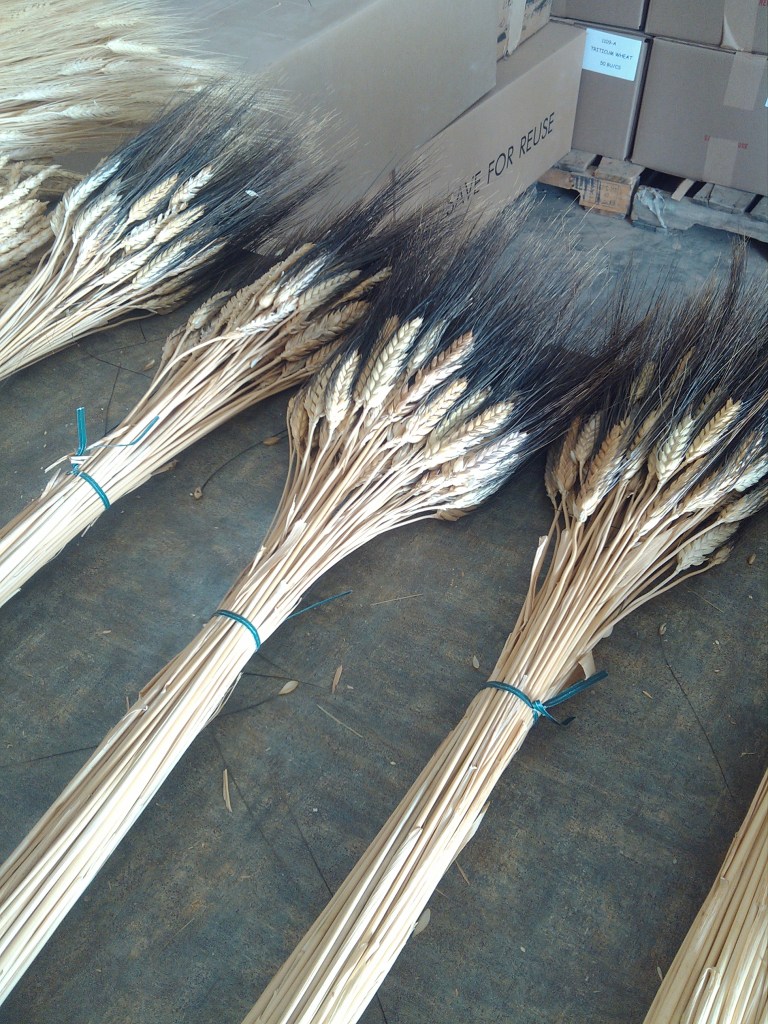 2013-02-11_14-05-51_377