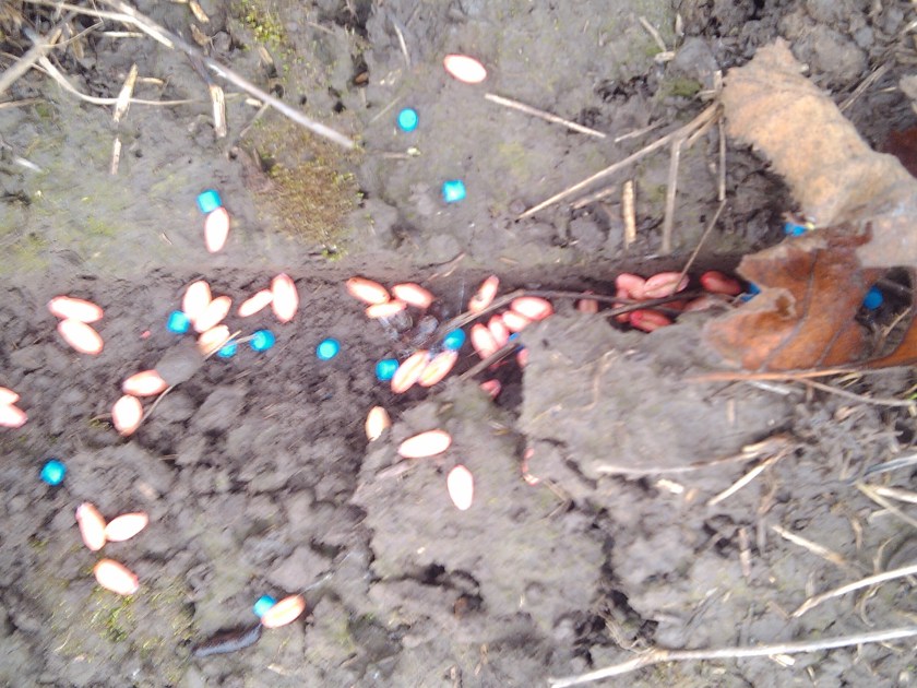 2013-02-21_08-40-51_349