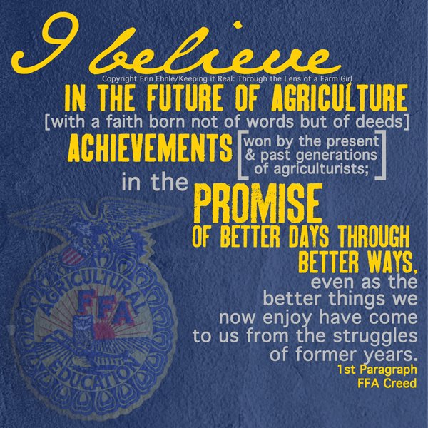 396362_335600149816030_8373019_n