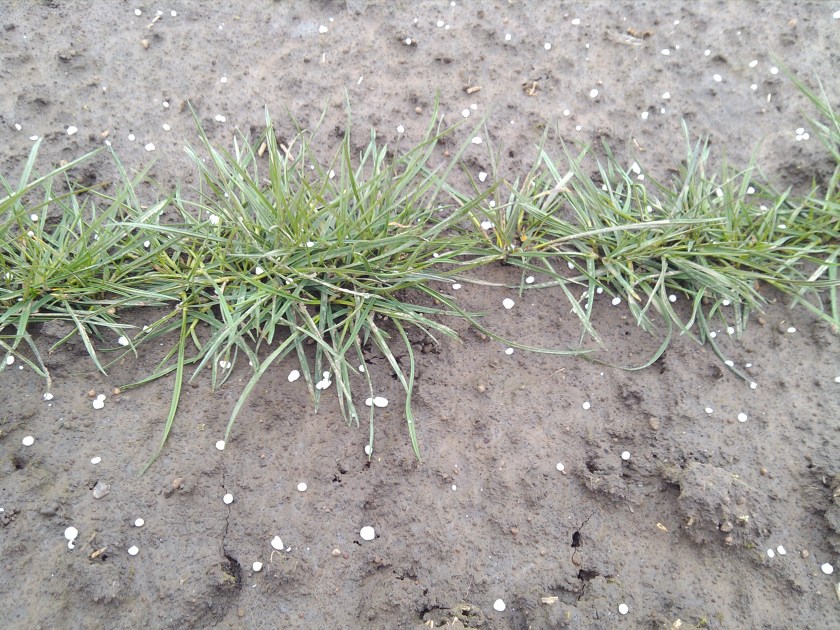 2013-02-27_13-38-41_124