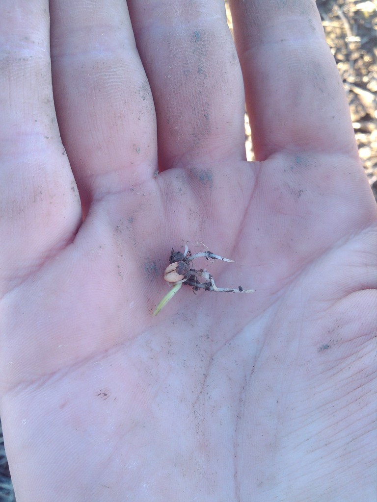 2013-03-07_16-20-59_934