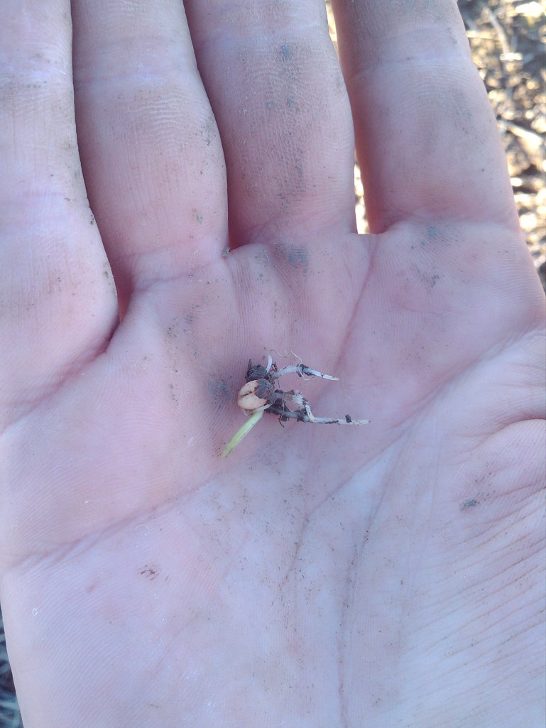 2013-03-07_16-20-59_934