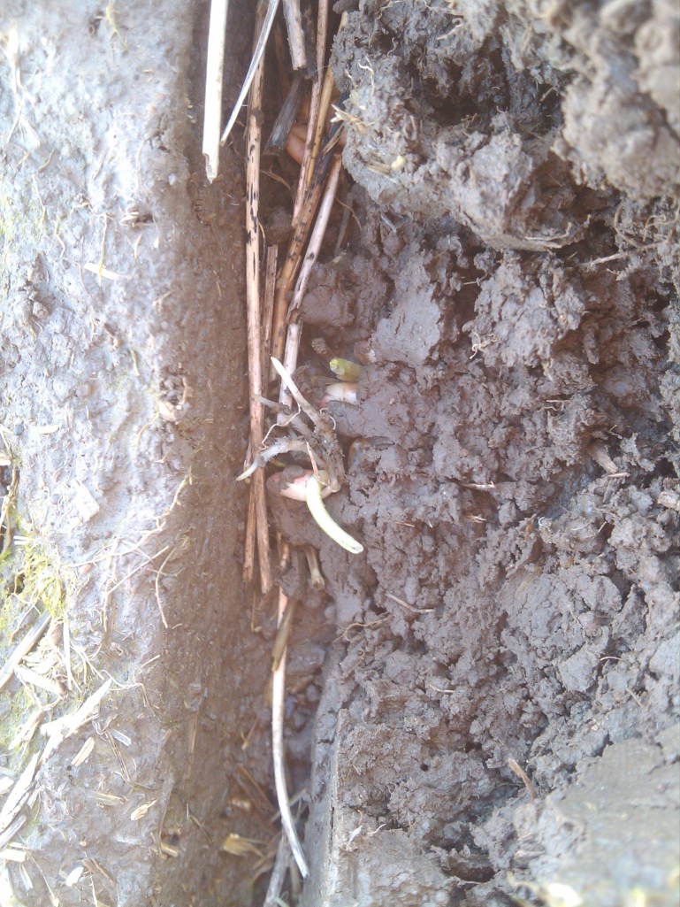 2013-03-07_16-21-19_574