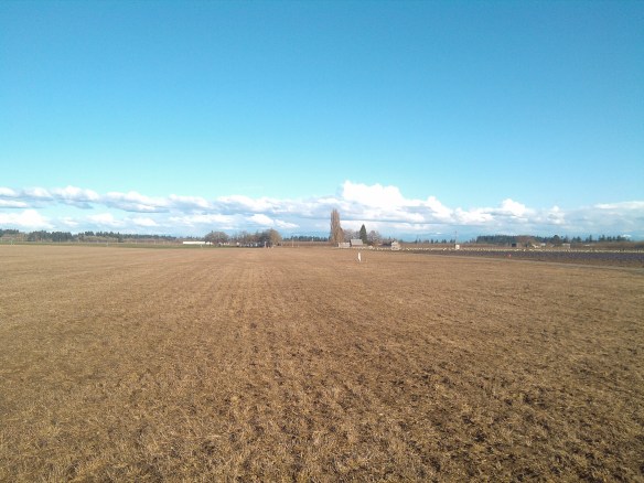 2013-03-07_16-21-40_314