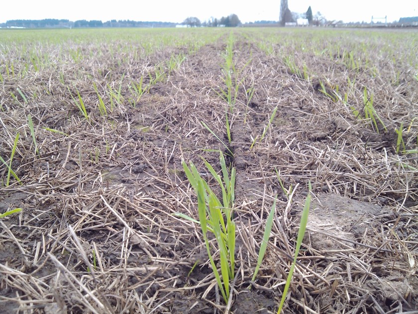 2013-03-14_11-55-11_949