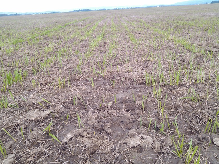 2013-03-14_11-55-25_450