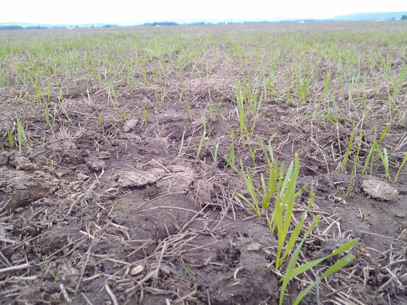 2013-03-14_11-55-29_355