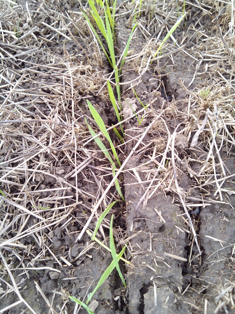 2013-03-14_11-55-51_438