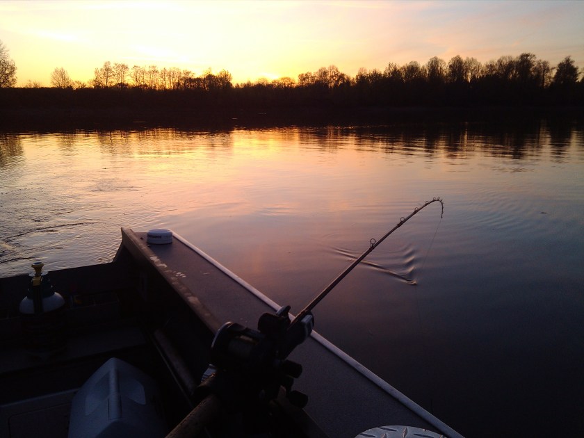 2013-03-31_06-45-08_512