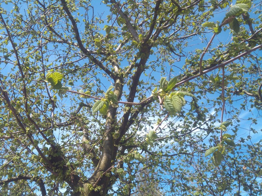 2013-04-02_14-34-44_142