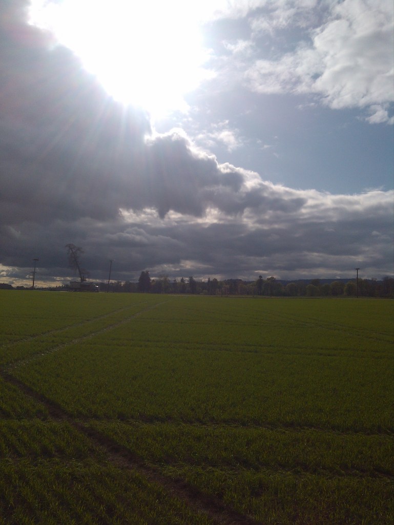 2013-04-11_17-03-30_881