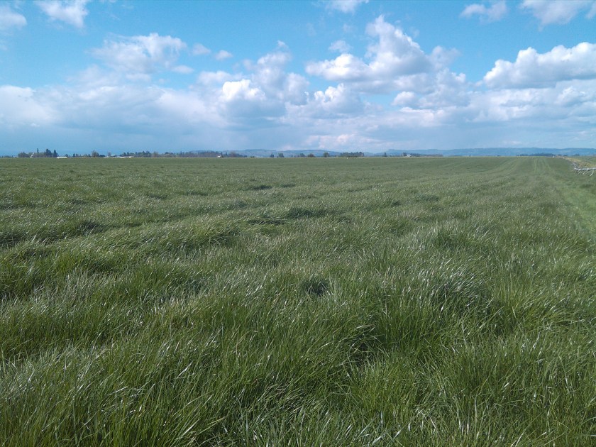 2013-04-16_15-13-47_53