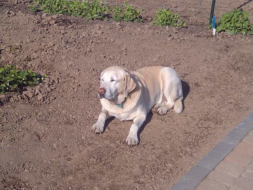 2013-04-16_16-56-24_373