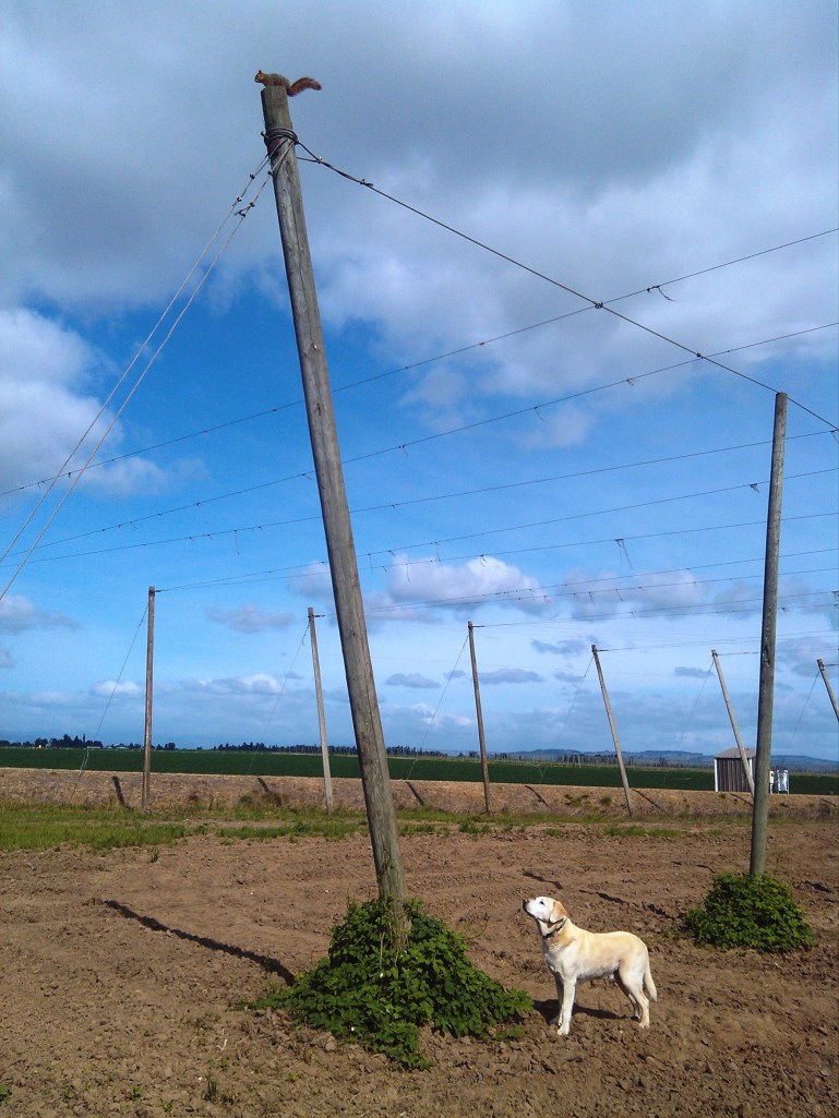 2013-04-29_10-20-45_504