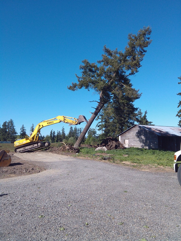 2013-05-05_09-20-48_864