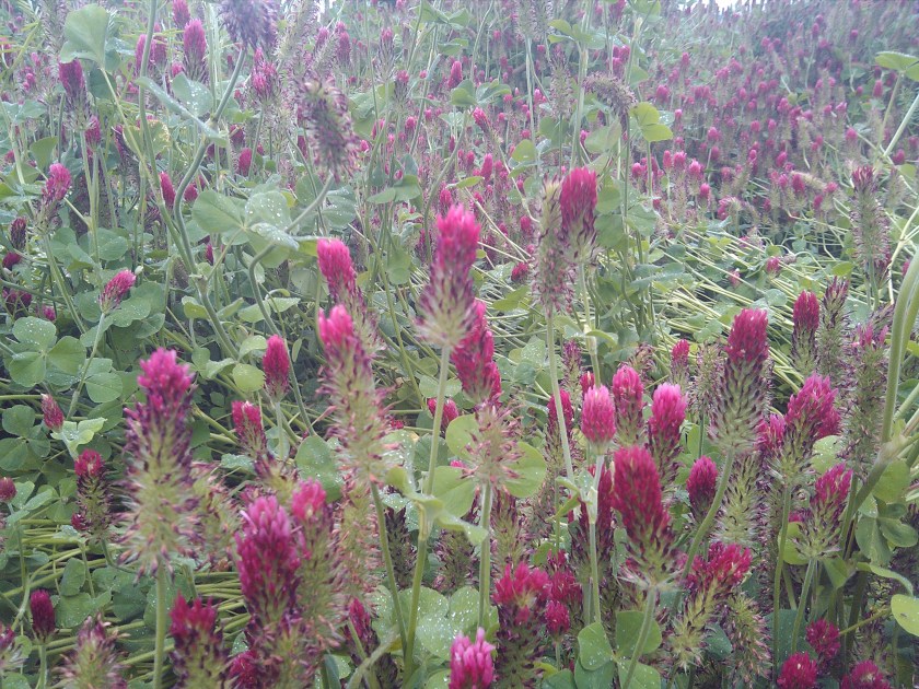 2013-05-15_08-51-27_204