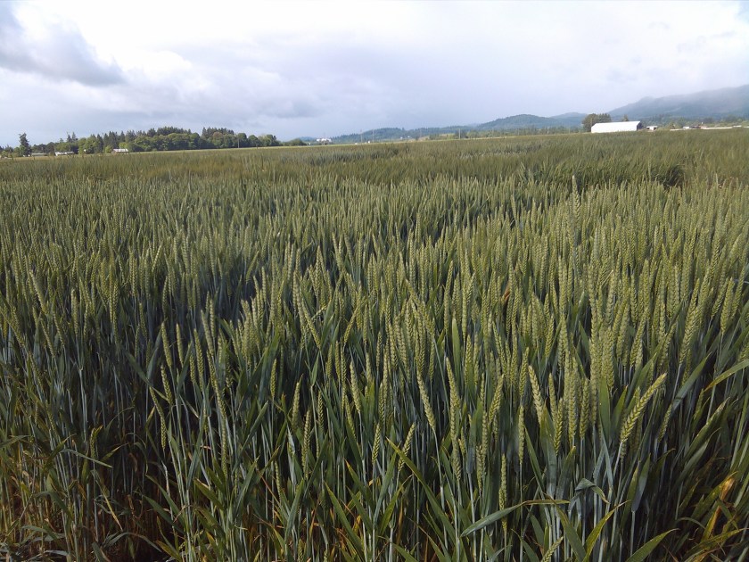 2013-05-29_09-25-21_844