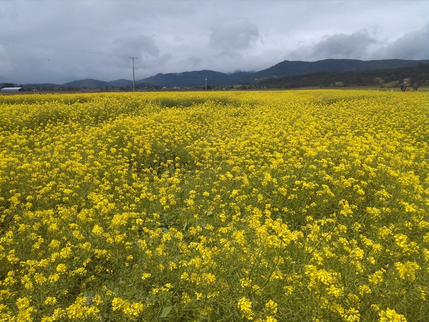 2013-05-29_11-31-50_614