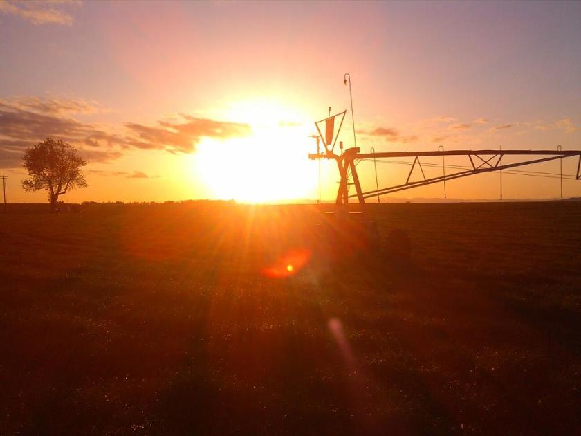 551438_10100196837358259_753101661_n