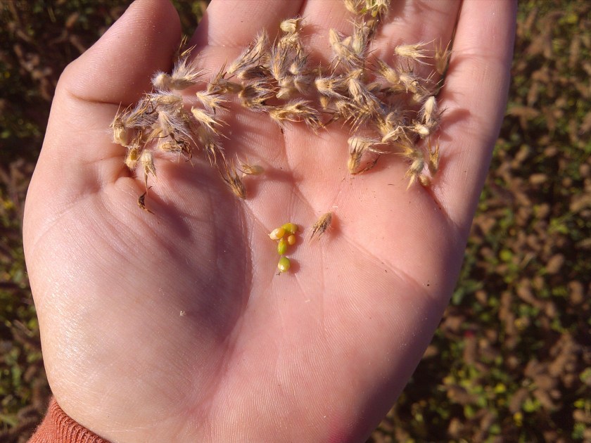 2013-06-10_08-07-11_457