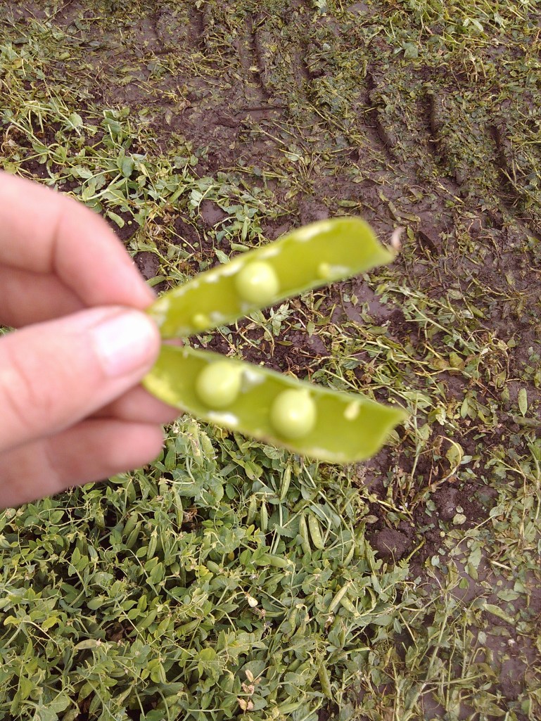 2013-06-13_11-48-36_524