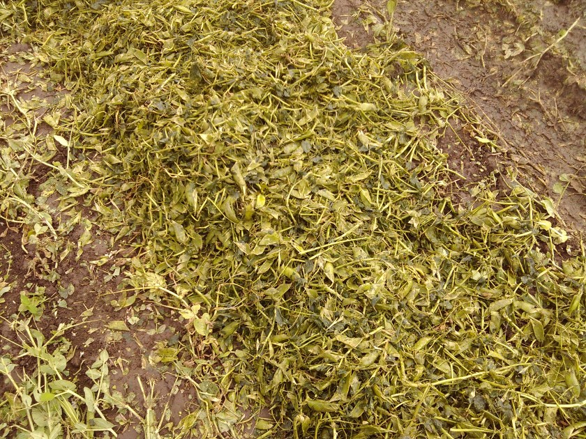 2013-06-13_11-49-06_510