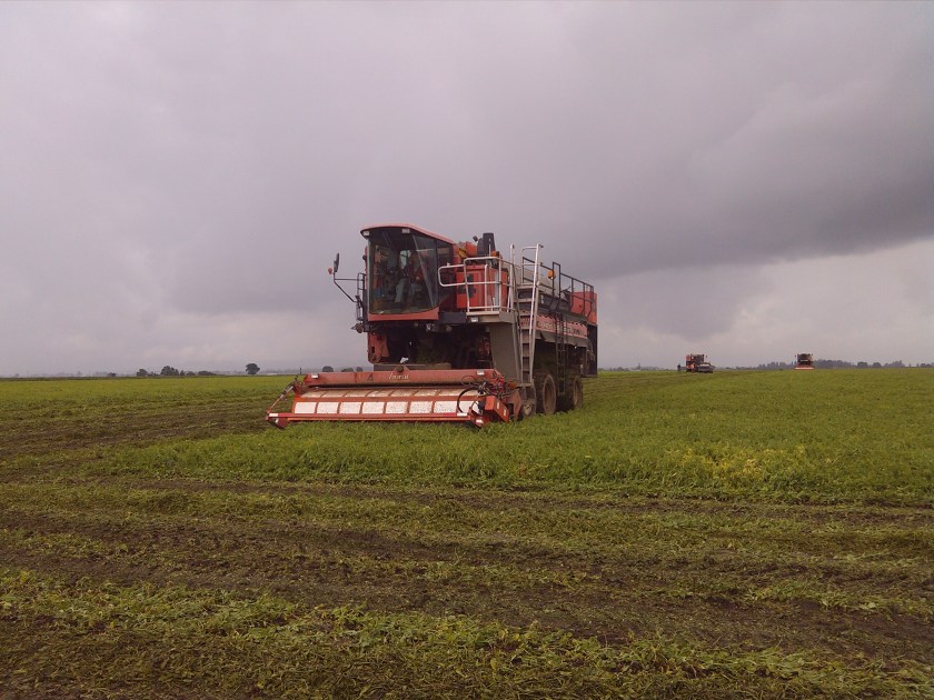 2013-06-13_11-51-21_603