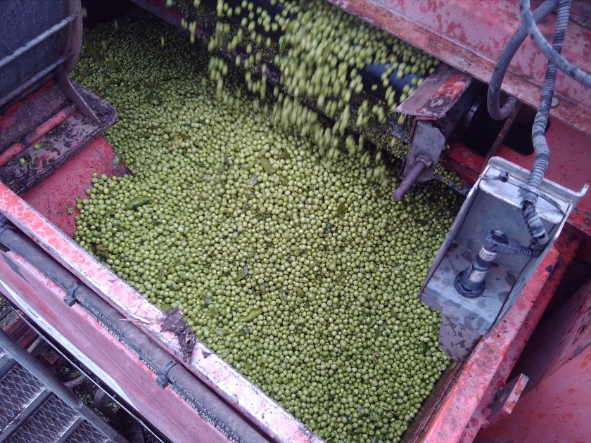 2013-06-13_12-00-50_0