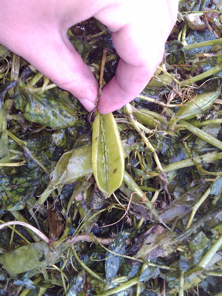 2013-06-13_12-04-13_63