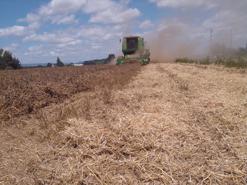 2013-07-05_14-00-29_828