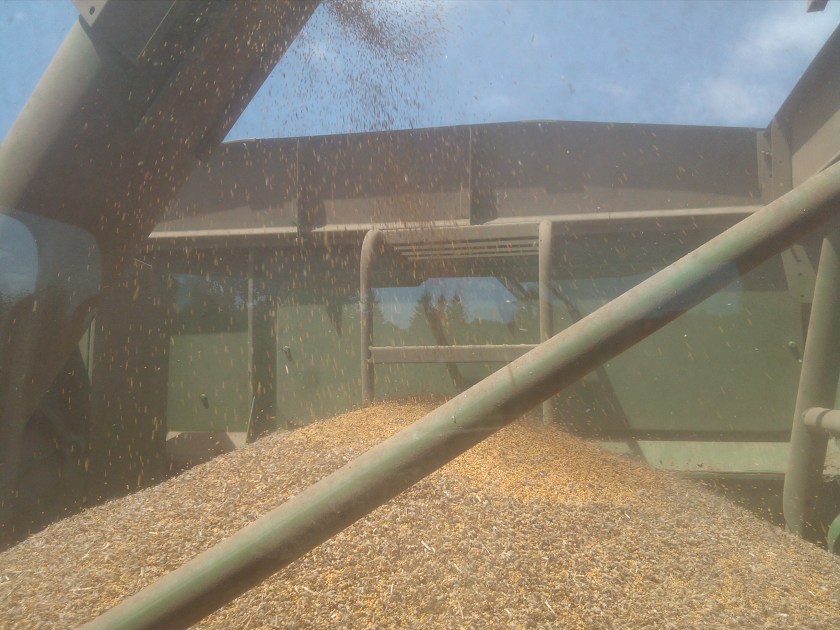 2013-07-07_12-22-48_536