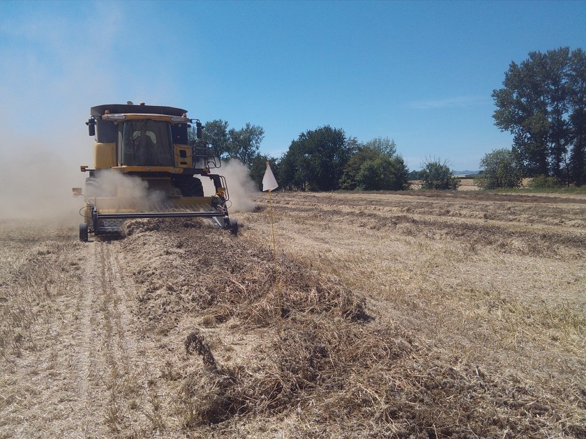 2013-07-08_14-56-32_190