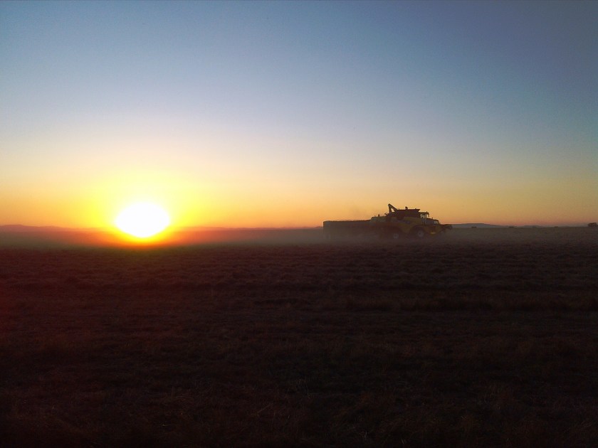 2013-07-18_20-44-29_566