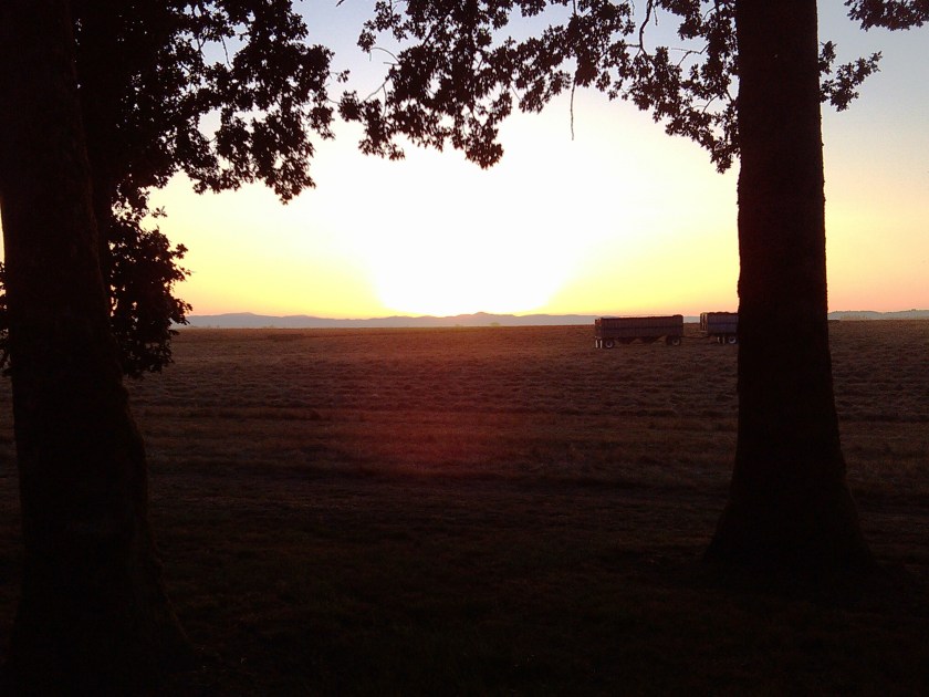 2013-07-18_20-46-36_182