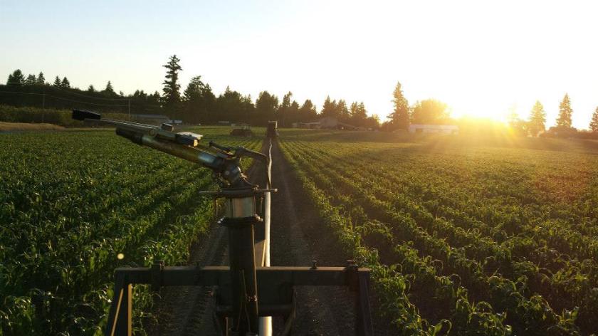 1045188_510989188975046_1771548442_n