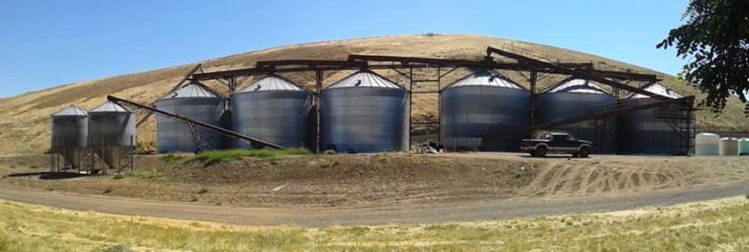 1070111_10201235382793816_47607300_n